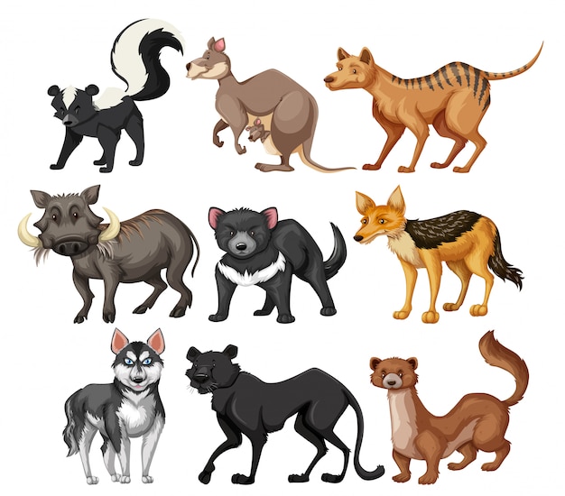 Бесплатное векторное изображение Набор символов дикого животного