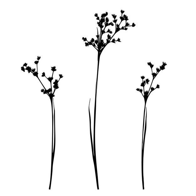 草原の花のセットです 夏の植物の黒いシルエットのコレクション プレミアムベクター