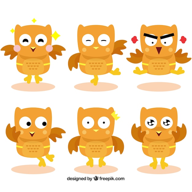 Set of orange cartoon owls