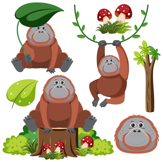 Vettore gratuito set di personaggi dei cartoni animati di orangutan