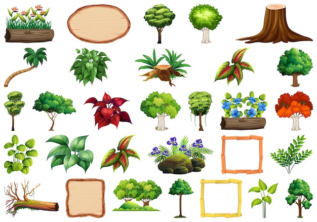 Free vector set of ornamental plants