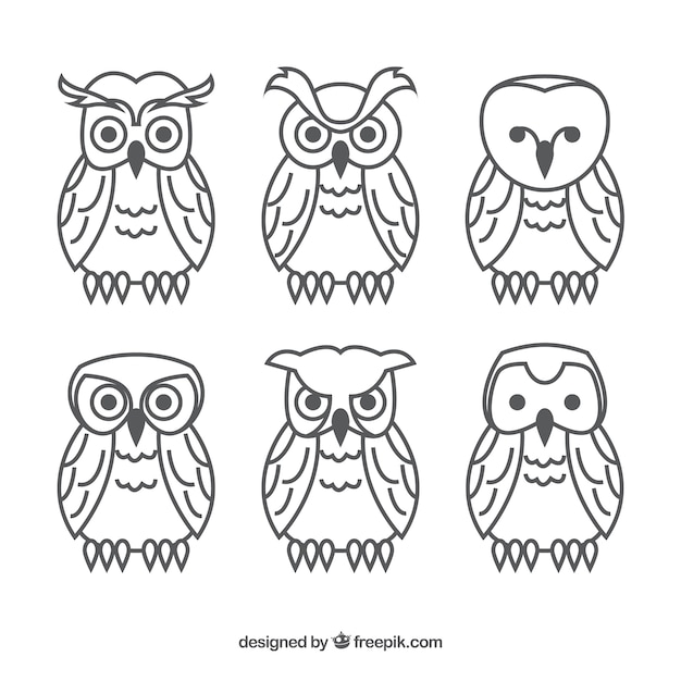 Set of outline owls