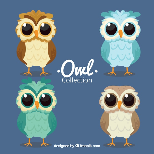 Set of owls with big eyes