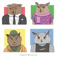 Free vector set of owls with hand drawn clothes