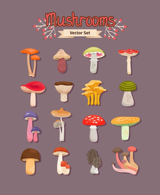 Vettore gratuito set di funghi diversi dipinti commestibili e non commestibili. illustrazione vettoriale