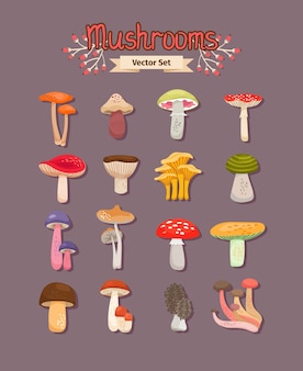 Set of painted different mushrooms edible and inedible. vector illustration