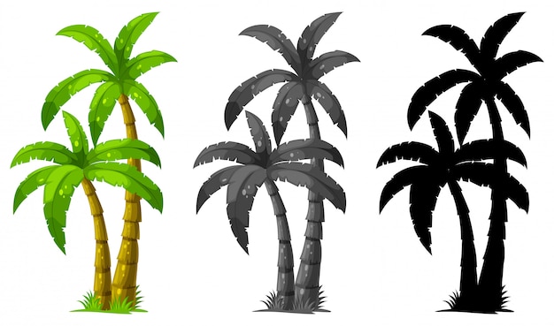 Set Of Palm Tree