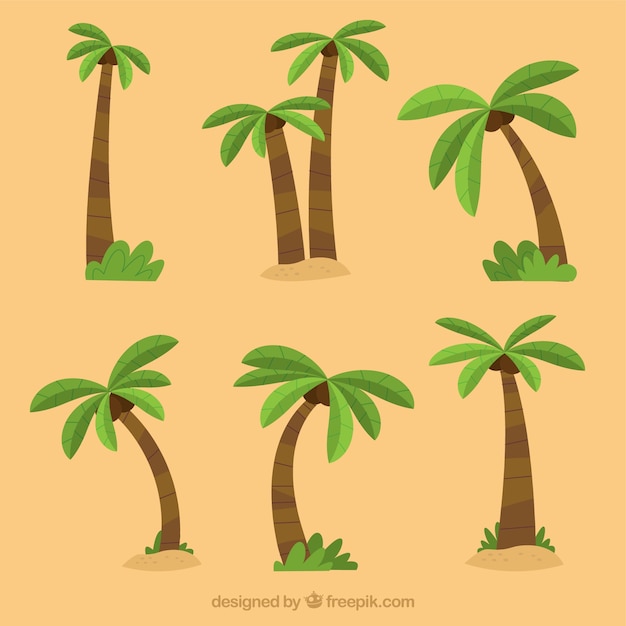 Free vector set of palm trees in flat design