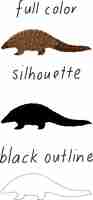 Free vector set of pangolin in color, silhouette and black outline on white background