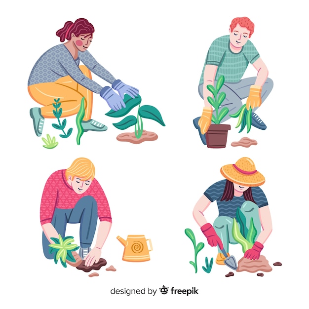 做菜作文