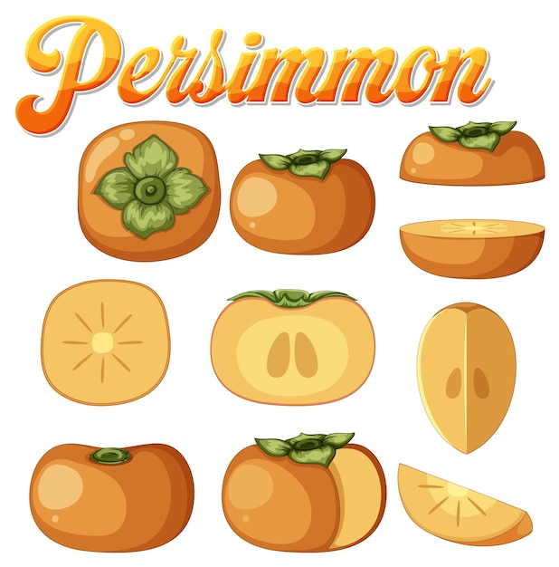 Free vector set of persimmon fruit