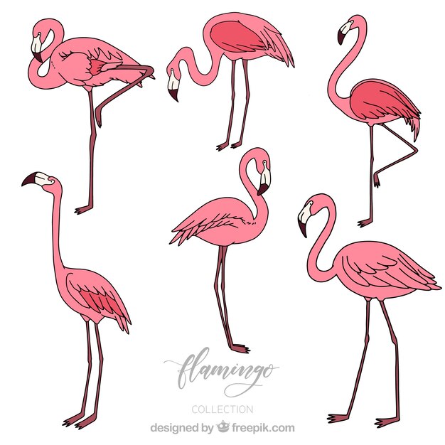 Набор розовых фламинго в стиле ручной работы