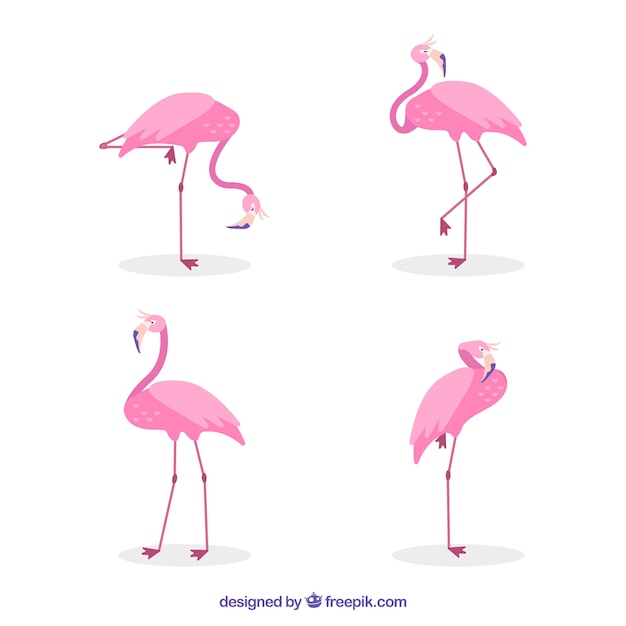 Набор розовых фламинго с разными позами