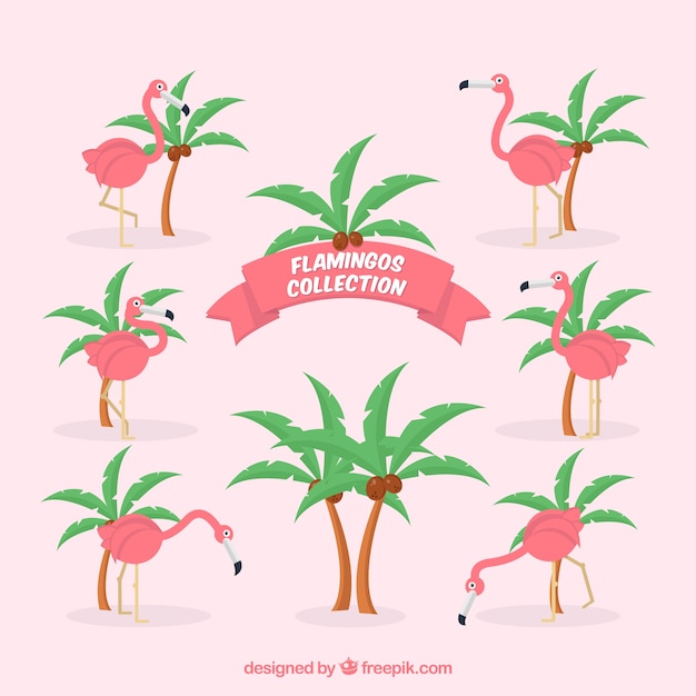 Free vector set of pink flamingos with different poses