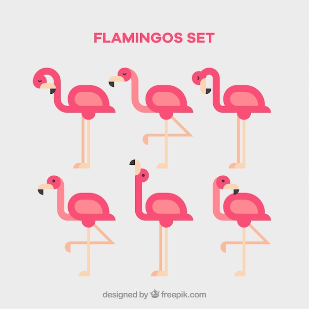 Free vector set of pink flamingos with different poses