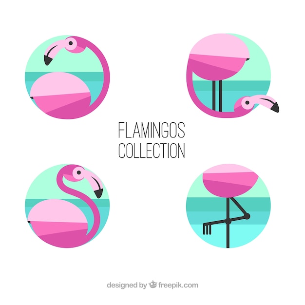 Set of pink flamingos with different poses