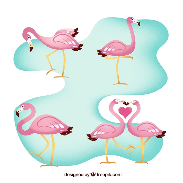 Set of pink flamingos with different poses