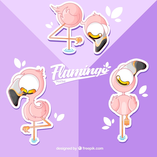 Set of pink flamingos with different postures