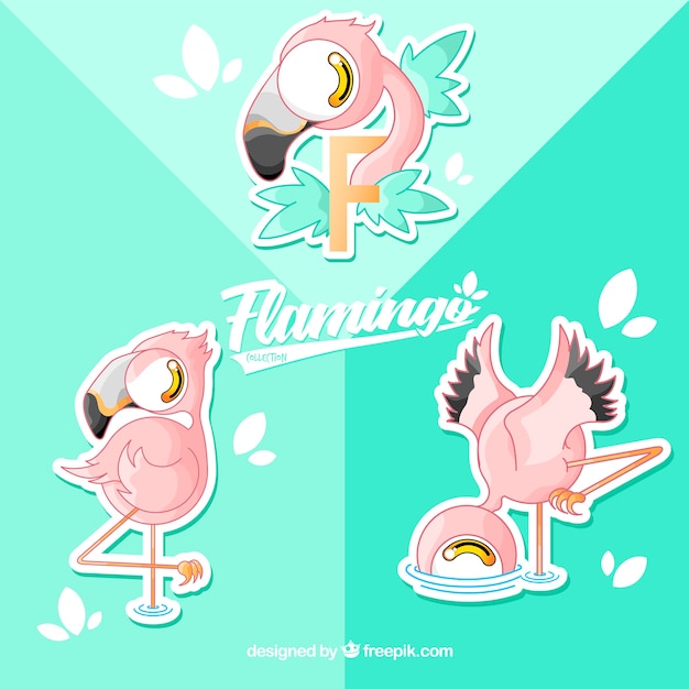 Set of pink flamingos with different postures