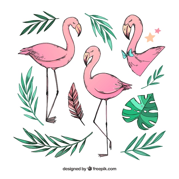 Set of pink flamingos with different postures