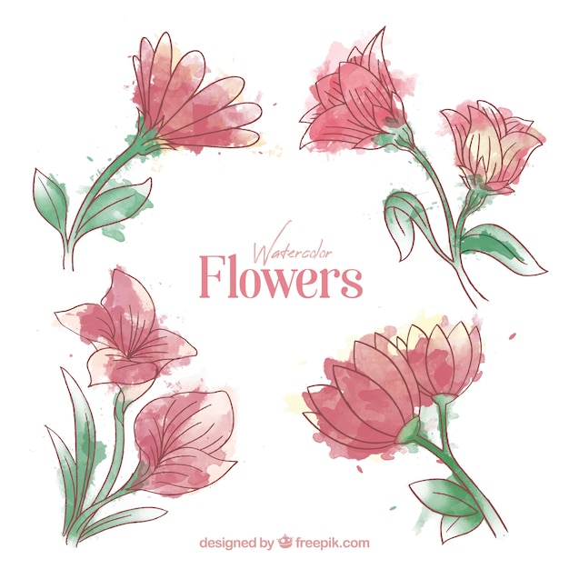 Set of pink flowers in watercolor style