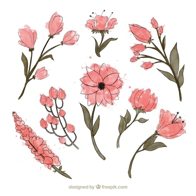 Set of pink flowers in watercolor style