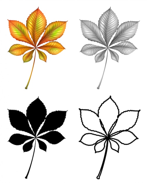 Free vector set of plant leaf