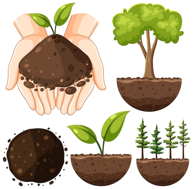 Set of plant and soil