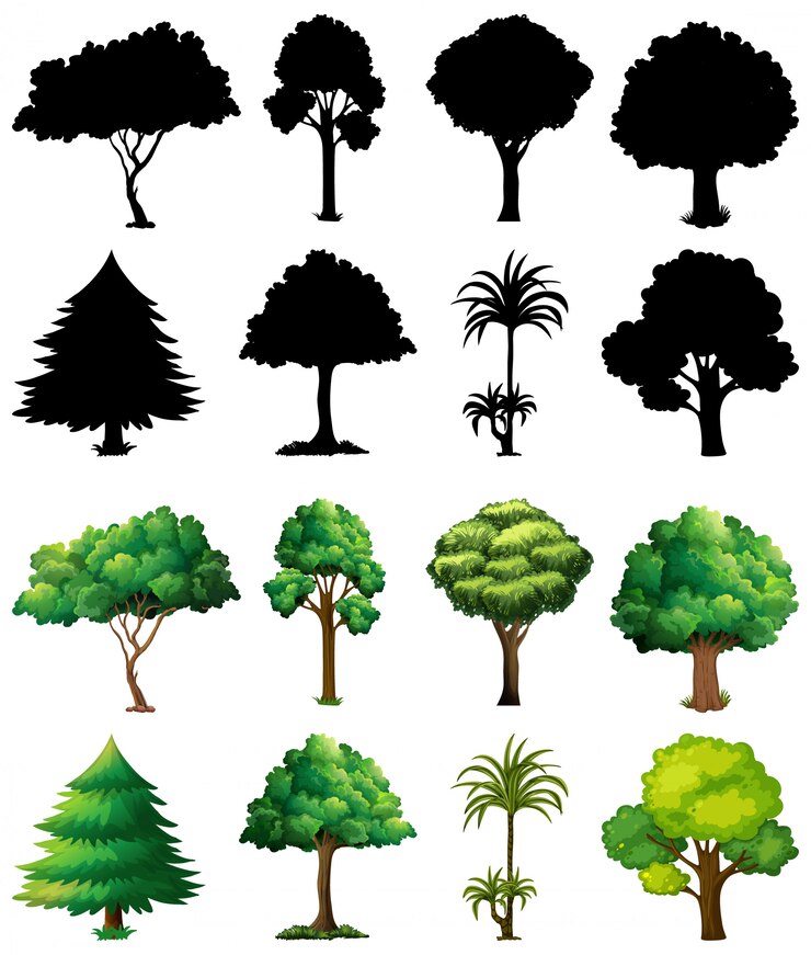 Free Vector set of plant and tree with its silhouette