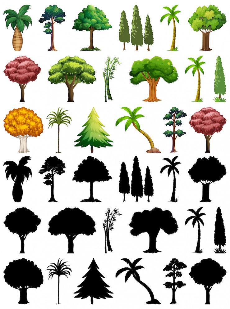 Free Vector set of plant and tree with its silhouette