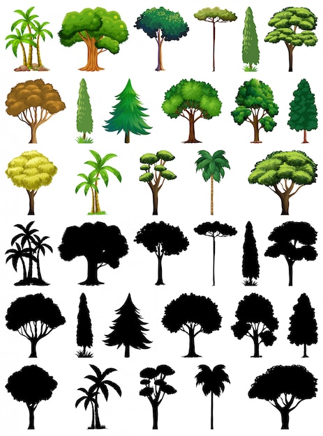 Set of plant and tree with its silhouette