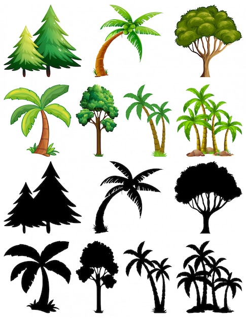 Vettore gratuito set di piante e alberi con la sua silhouette