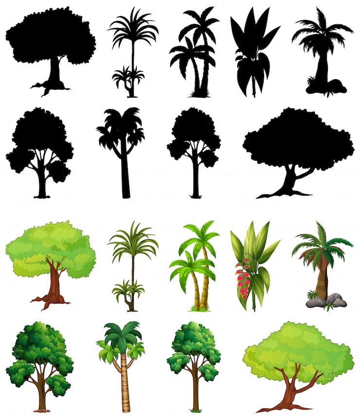 Free Vector set of plant and tree with its silhouette