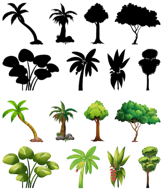 Free vector set of plant and tree with its silhouette