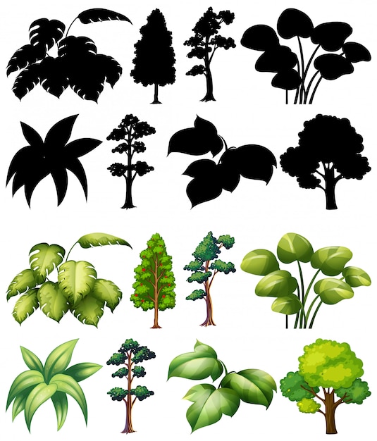 Free vector set of plant and tree with its silhouette