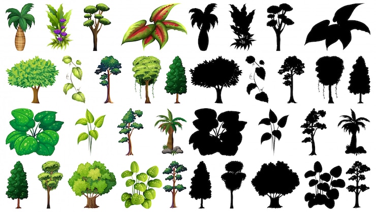 Free Vector set of plant and tree with its silhouette