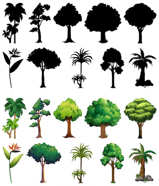 Free vector set of plant and tree with its silhouette