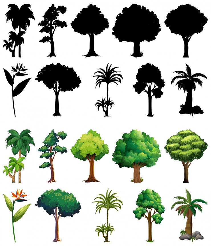 Free Vector set of plant and tree with its silhouette