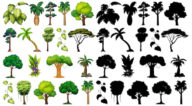 Set of plant and tree with its silhouette