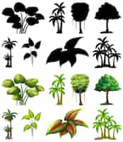 Free vector set of plant and tree with its silhouette