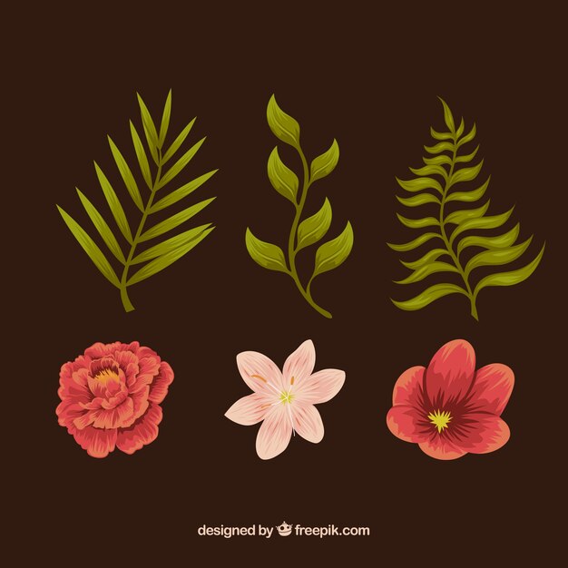 Set of plants and flowers