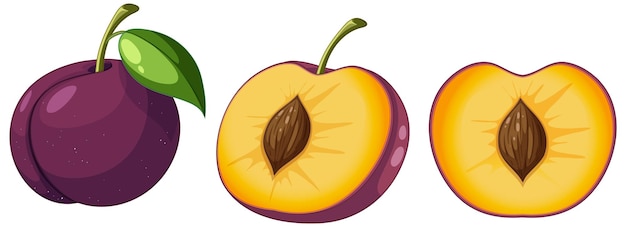 Free vector set of plum fruit cartoon