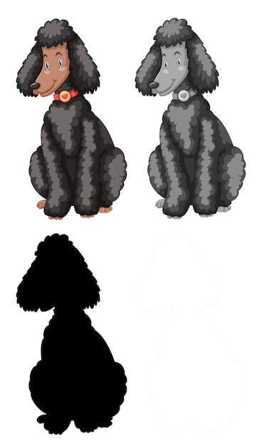 Free vector set of poodle character