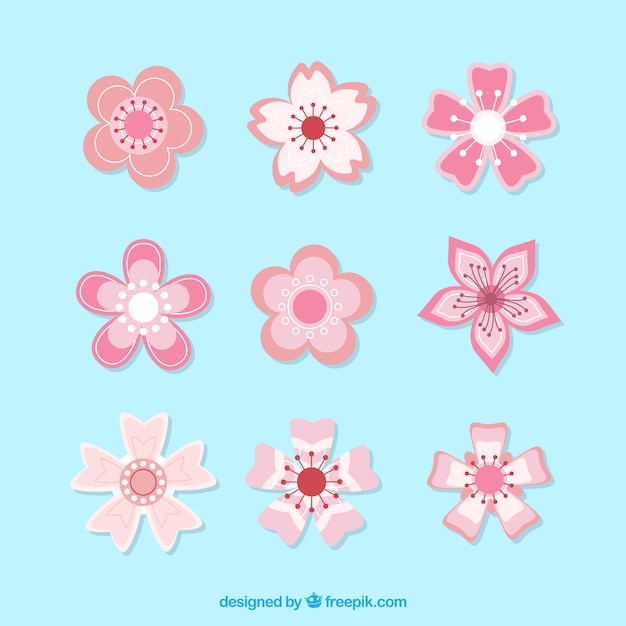 Free vector set of pretty cherry blossoms in pink tones