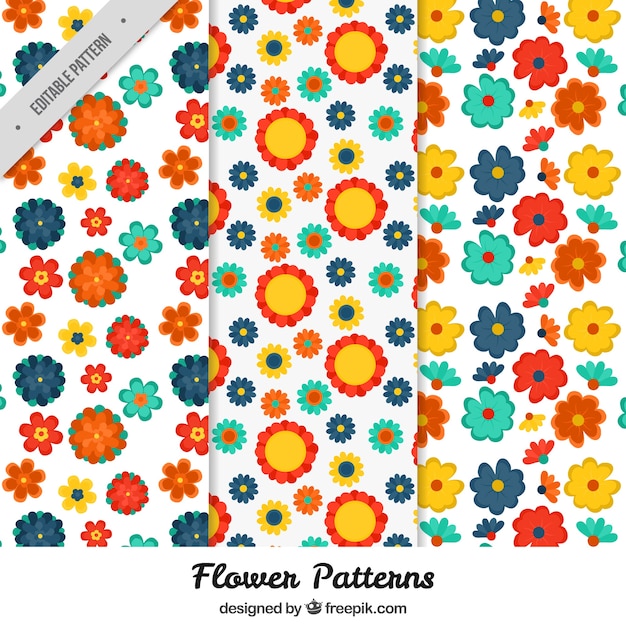 Free vector set of pretty patterns with colorful flowers