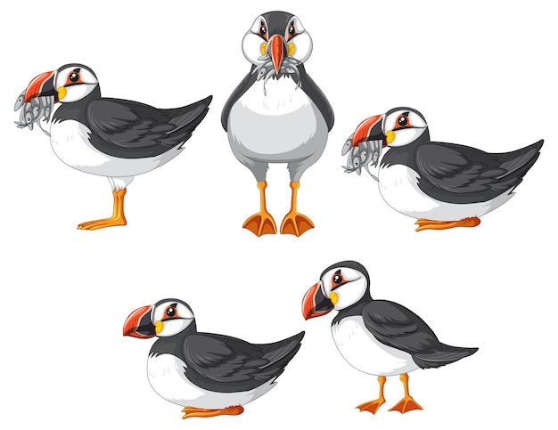 Vettore gratuito set di personaggi dei cartoni animati degli uccelli puffin in diverse pose