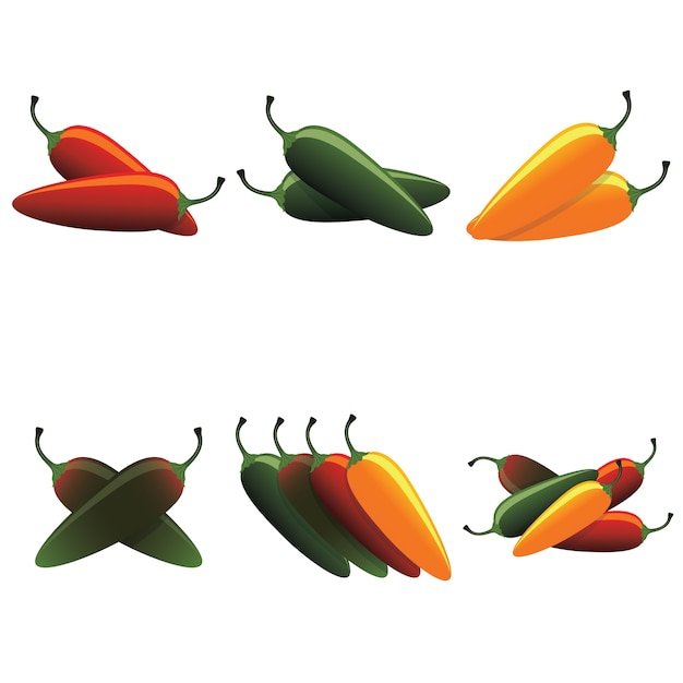 Free vector set of raw jalapeno hot chilies