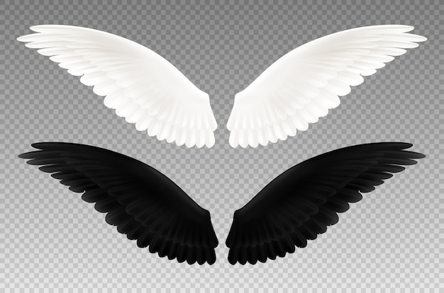 Free vector set of realistic black and white pair of wings on transparent  as symbol of good and evil isolated