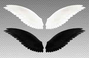 Free vector set of realistic black and white pair of wings on transparent  as symbol of good and evil isolated