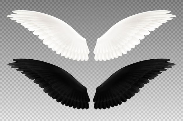 Набор реалистичных черно-белых пар крыльев на прозрачном, как символ добра и зла изолированы